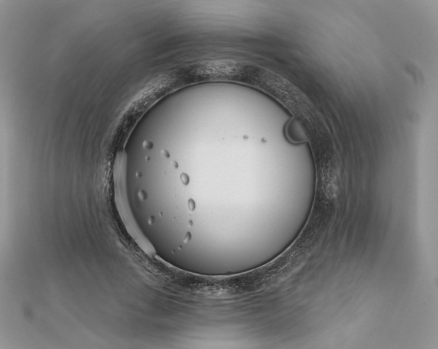 X0000112480735200908311410