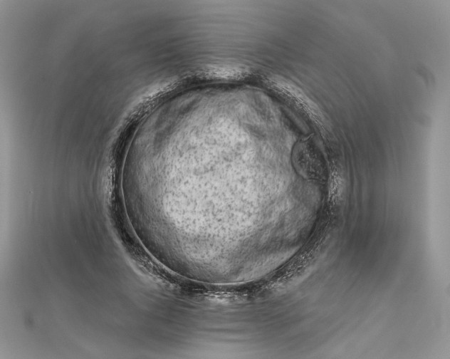 X0000112480736200908311410