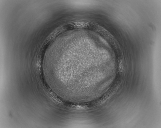 X0000112480737200908311410