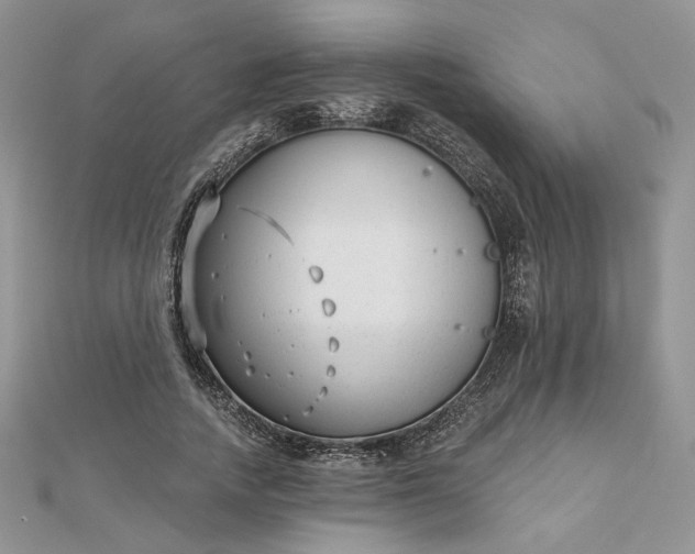 X0000112480738200908311410