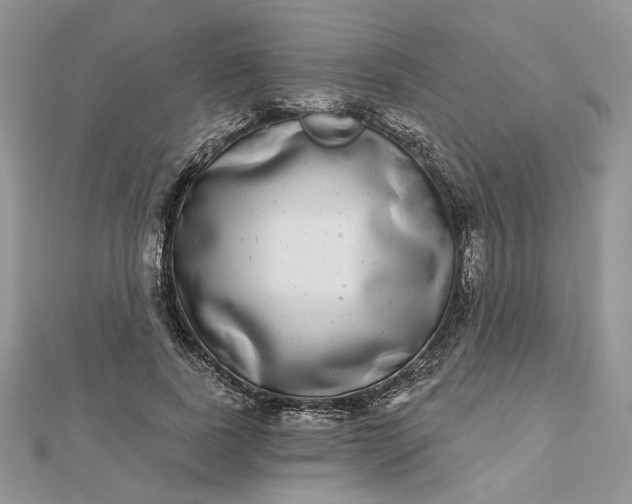 X0000112480739200908311410