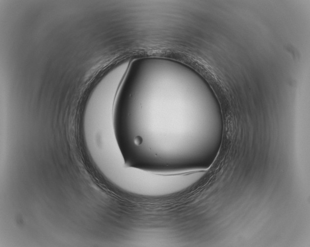 X0000112480740200908311410