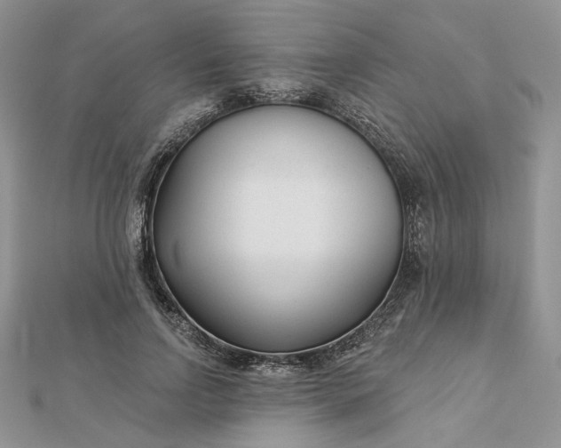 X0000112480742200908311410