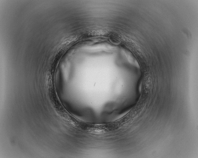 X0000112480743200908311410