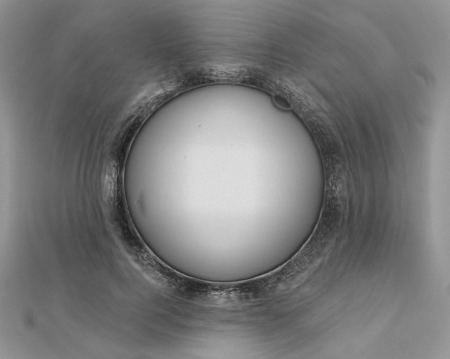 X0000112480744200908311410