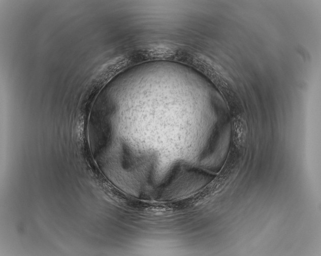 X0000112480745200908311410