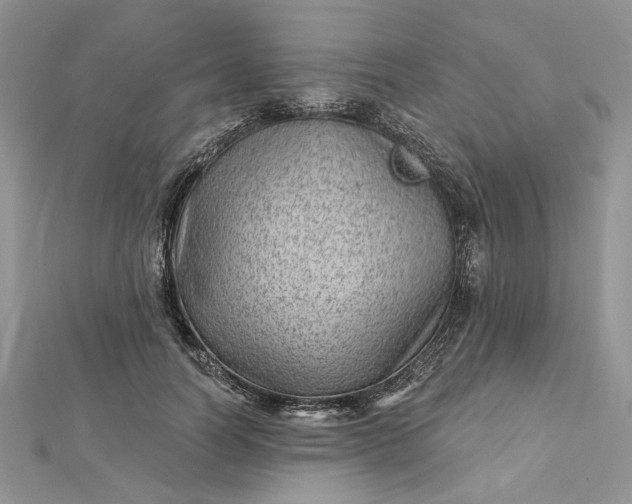 X0000112480746200908311411