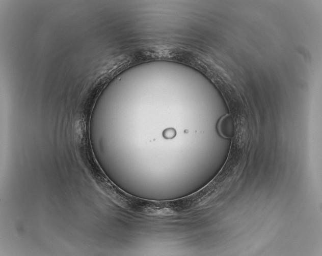 X0000112480747200908311411