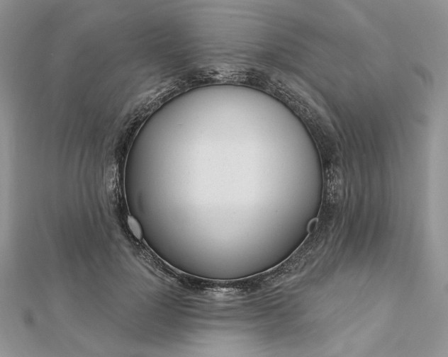 X0000112480748200908311411