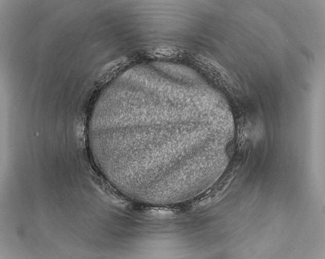 X0000112480749200908311411