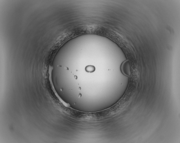 X0000112480750200908311411