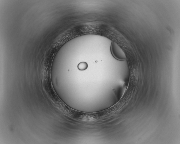 X0000112480751200908311411