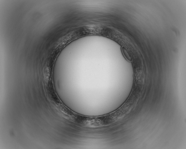 X0000112480752200908311411