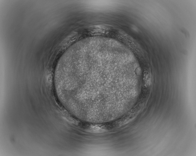 X0000112480753200908311411