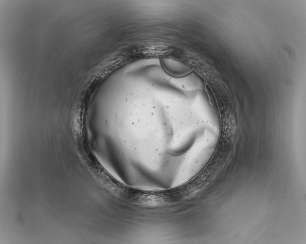 X0000112480755200908311411