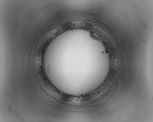 X0000112480756200908311411