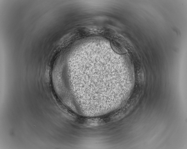 X0000112480757200908311411