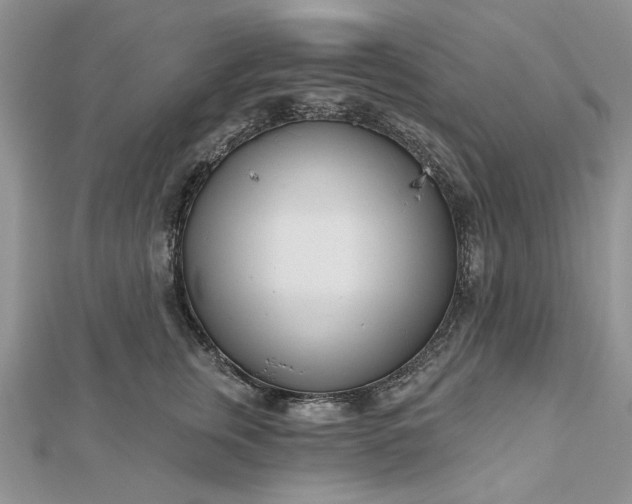 X0000112480759200908311411