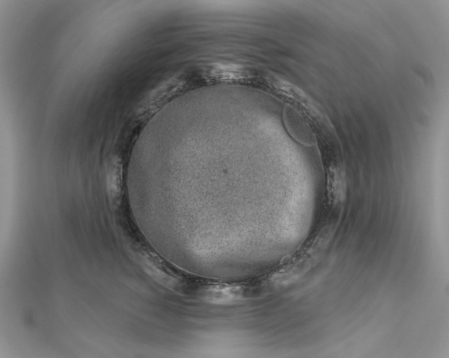 X0000112480760200908311411