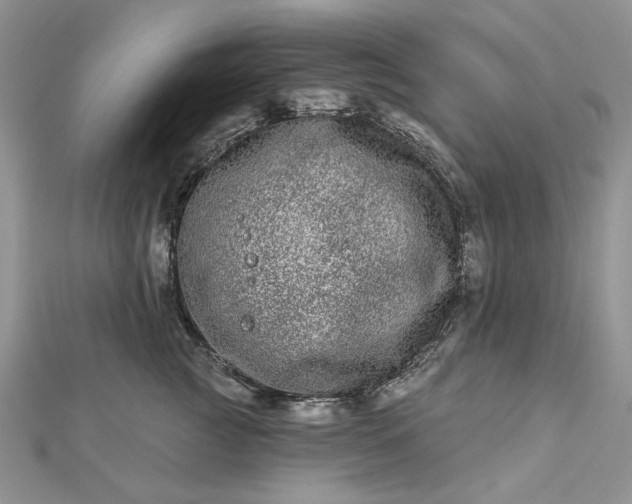 X0000112480761200908311411