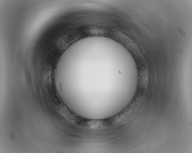 X0000112480762200908311411