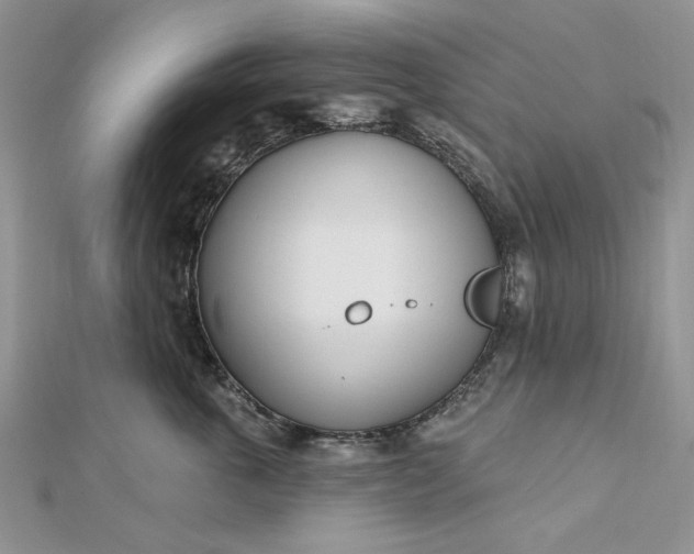 X0000112480763200908311411