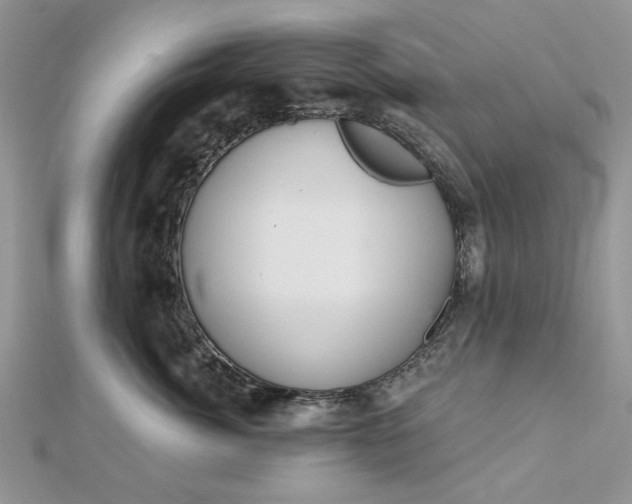 X0000112480764200908311411