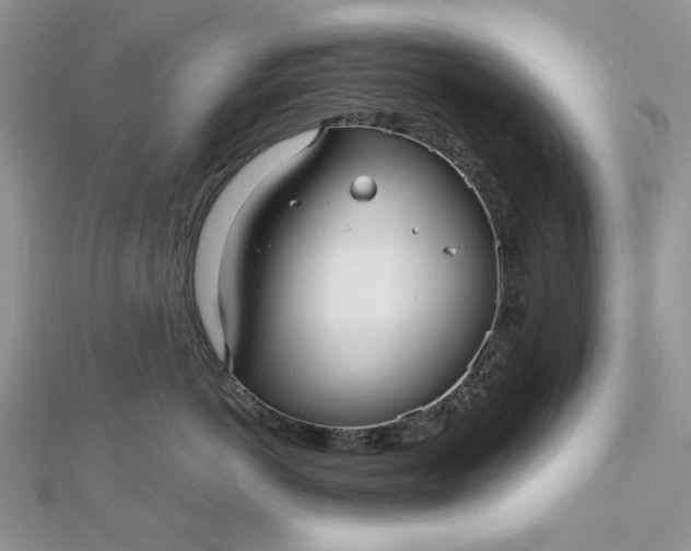 X0000112480766200908311411