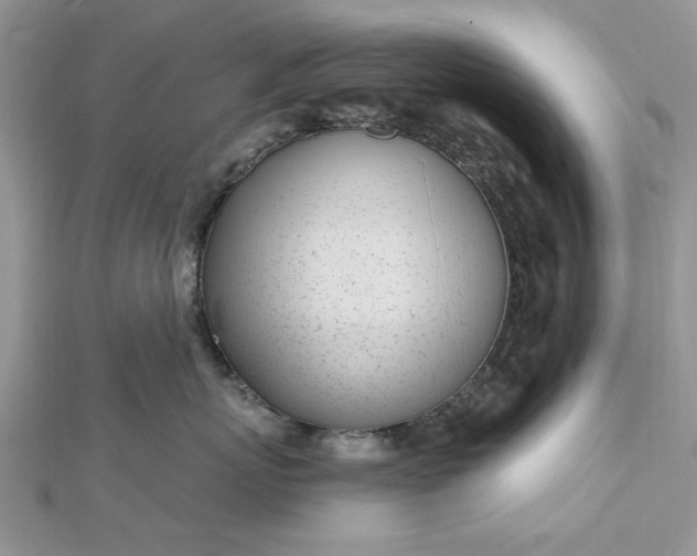 X0000112480767200908311411