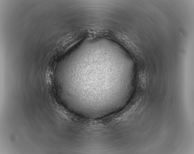 X0000112480770200908311410