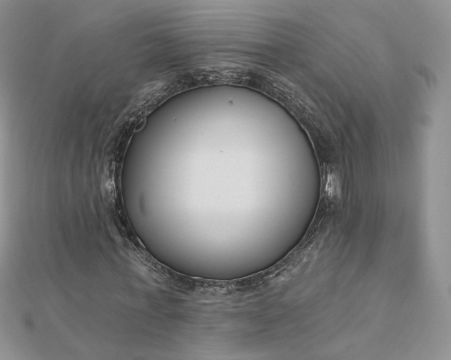 X0000112480771200908311410