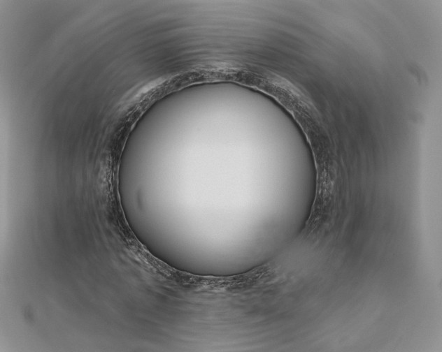 X0000112480773200908311410