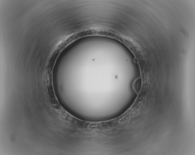 X0000112480776200908311410