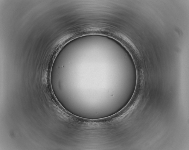 X0000112480777200908311410