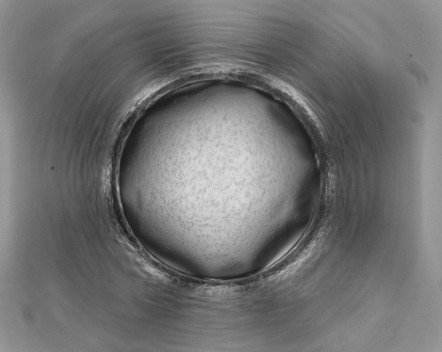 X0000112480778200908311410