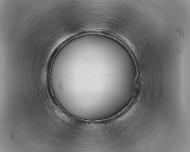 X0000112480779200908311410