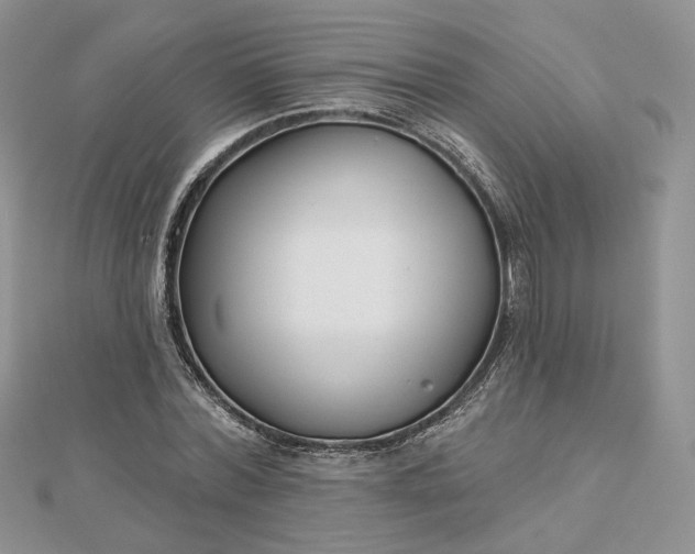 X0000112480780200908311410