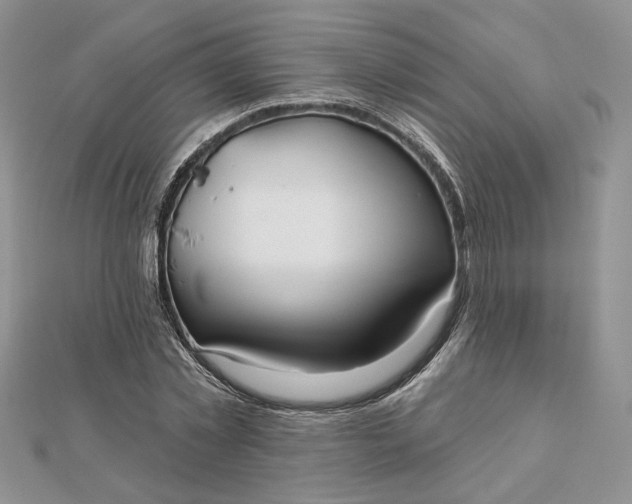 X0000112480781200908311410