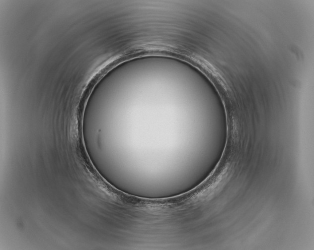 X0000112480782200908311410