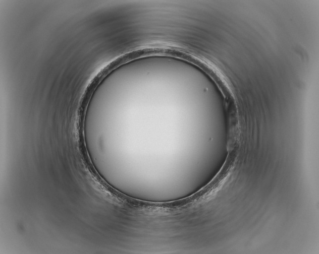 X0000112480783200908311410