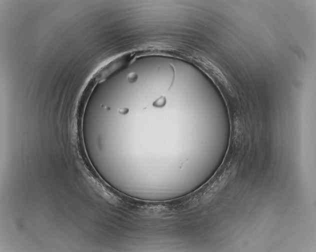 X0000112480784200908311410