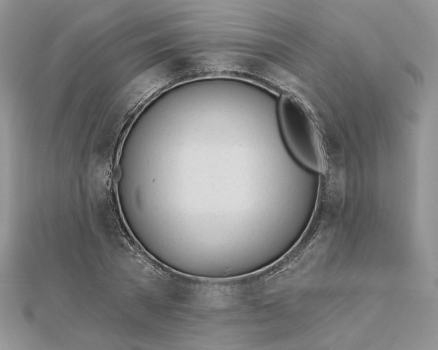 X0000112480785200908311410