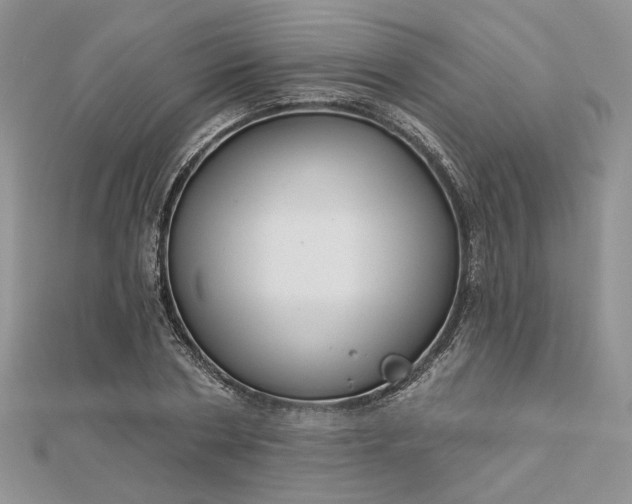 X0000112480786200908311410