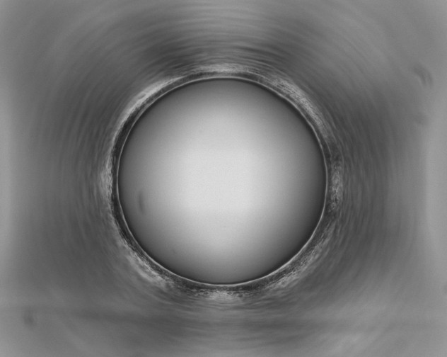 X0000112480787200908311410