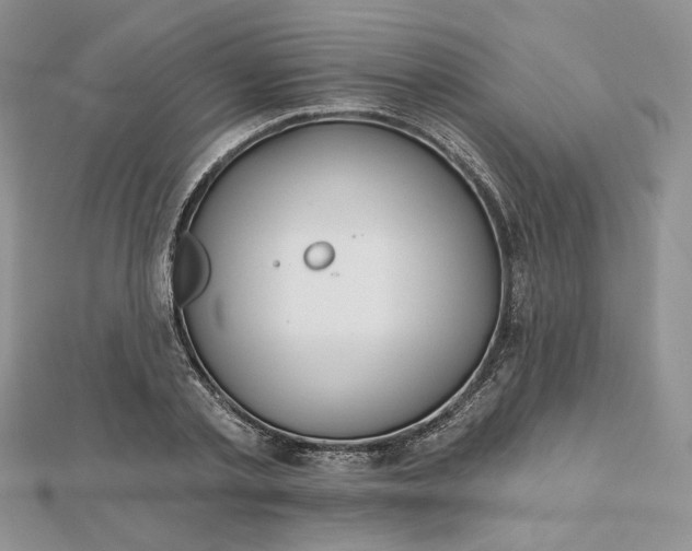 X0000112480789200908311410