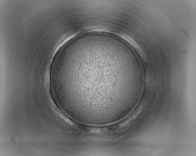 X0000112480790200908311410