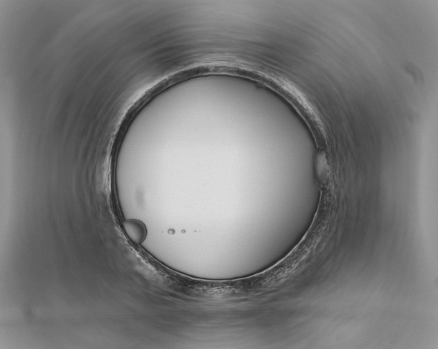 X0000112480791200908311410