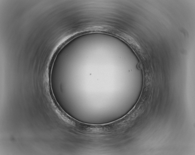 X0000112480792200908311410