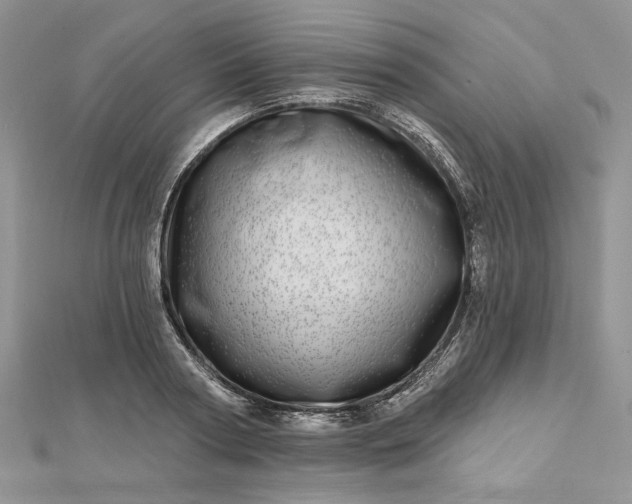 X0000112480794200908311410