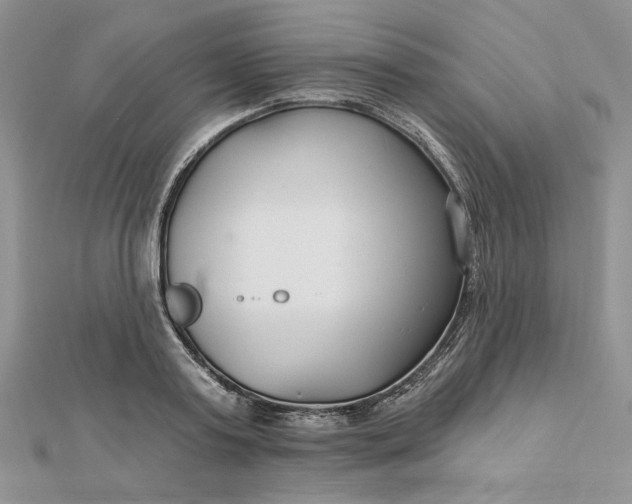 X0000112480795200908311410